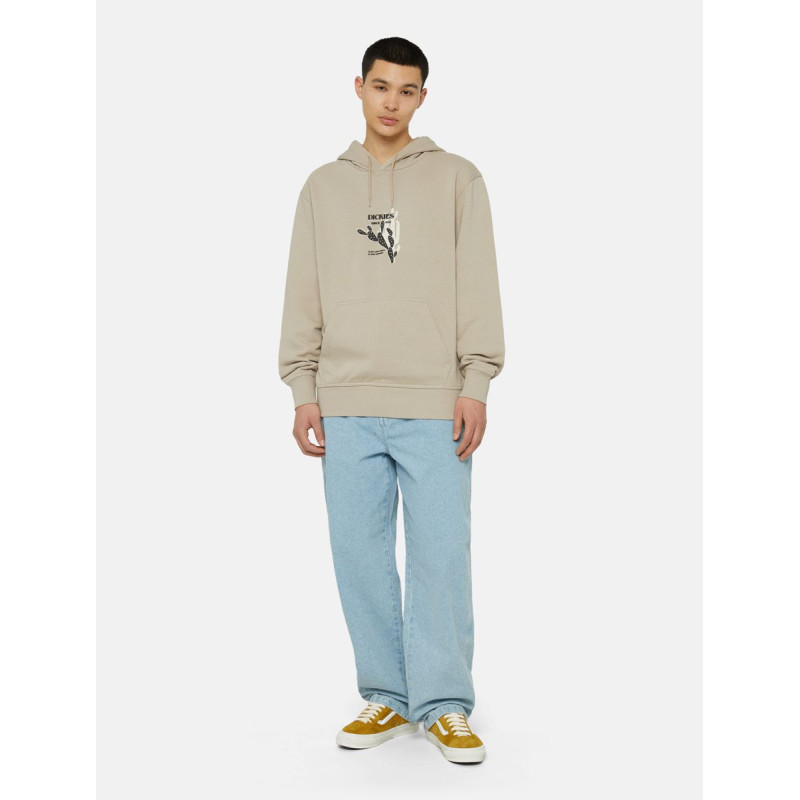 DICKIES MADISON BAGGY FIT DENIM VINTAGE BLUE