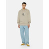 DICKIES MADISON BAGGY FIT DENIM VINTAGE BLUE