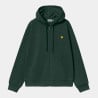 CARHARTT HOODED AMERICAN SCRIPT JACKET CONIFER