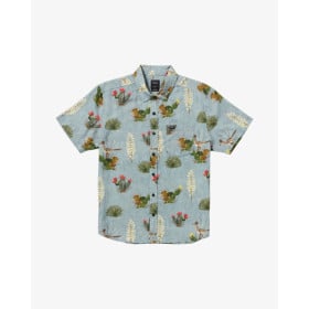 RVCA SHIRT SS ARTIFACTS DEN