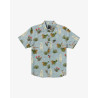 RVCA SHIRT SS ARTIFACTS DEN