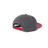 POLAR SKATE.CO MICHAEL CAP SPEED CLUB GREY RED