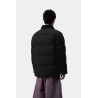 Carhartt WIP Rayley Jacket Black – Veste Hiver Homme Déperlante
