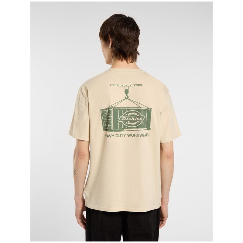 T-shirt Dickies Apison Desert Sand – Coton Relaxed Fit Homme | Streetwear