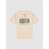T-shirt Dickies Apison Desert Sand – Coton Relaxed Fit Homme | Streetwear