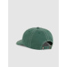 Dickies Grimsley Cap Pine – Casquette Homme Coton Réglable
