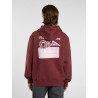Dickies Donut House Hoodie Andorra – Sweat à Capuche Streetwear