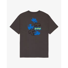 RVCA TEE SS AF BIRDS KSD0