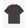 RVCA TEE SS AF BIRDS KSD0