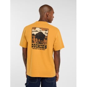 DICKIES DARRTOWN SS TEE...