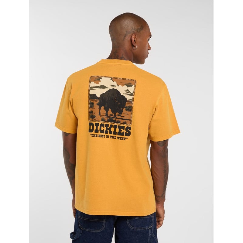 Dickies Darrtown Tee Sunflower | T-shirt Workwear