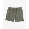 Short RVCA Escape Elastic Cord Sage Leaf – Short Homme Velours