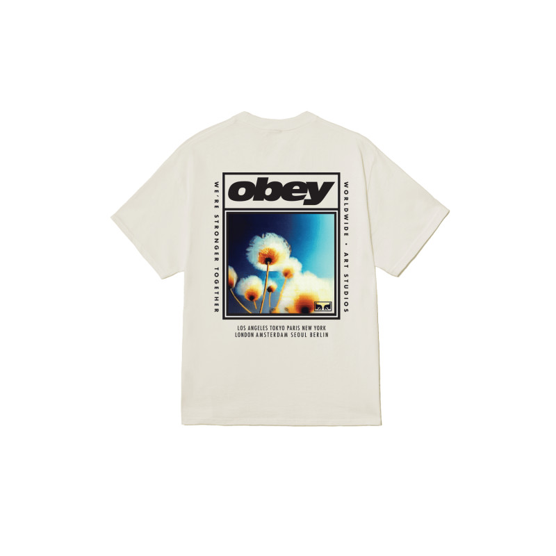 OBEY Stronger Together Tee Vintage White | Art Street