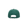 OBEY Top Secret Cap Panel Pigment Pine Multi