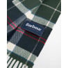 Barbour Galingale Tartan Scarf Evergreen Tartan – Écharpe
