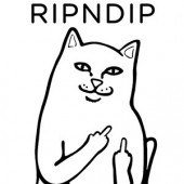 RipNDip